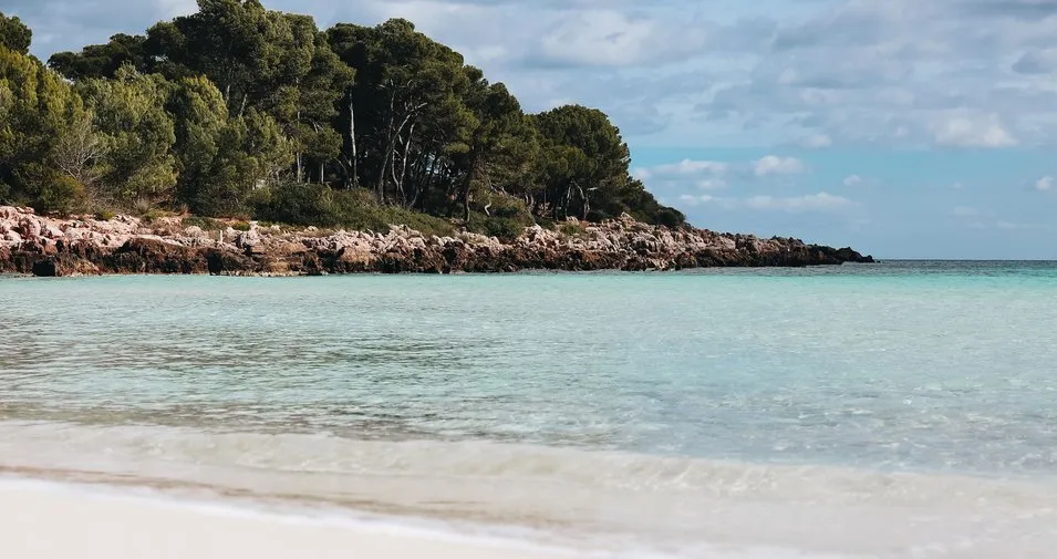 Strand von Cala Ratjada mit ruhigem Wasser und Küstenpinien auf Mallorca