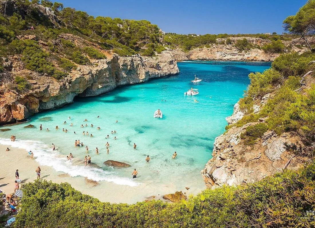 Turquoise cove in Mallorca surrounded by cliffs and pine trees